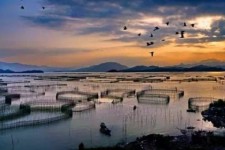 启东伴游中国网景点丰富(旅游网介绍)