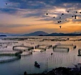 启东伴游中国网景点丰富(旅游网介绍)