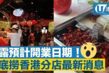 启东香港酒店雇用高薪伴游(高端伴游雇用)