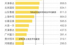 启东关于伴游小丽中国足球的信息