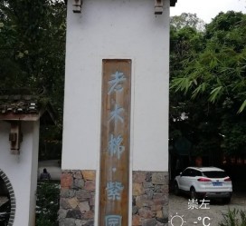 启东关于伴游中国伴游你们伴得是什么游的信息