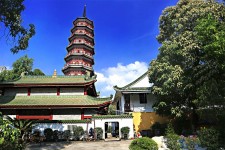 启东广州自由行(广州 自由行)
