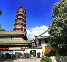 启东广州自由行(广州 自由行)