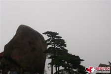 启东上海伴游私家陪游雇用女模(上海伴游私家陪游雇用女模特)