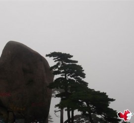 启东上海伴游私家陪游雇用女模(上海伴游私家陪游雇用女模特)