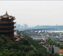 启东武汉游玩攻略(武汉游玩攻略ppt)