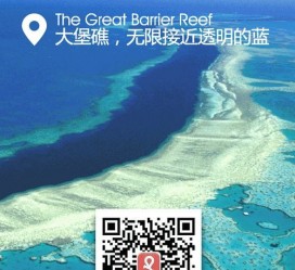 启东中国250家旅行社结伴游新西兰(新西兰当地旅行社)