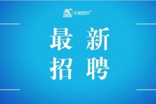 启东镇江伴游雇用驾驶员(镇江驾驶员雇用苍生网)