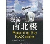 启东游记攻略(ps西游记攻略)
