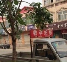 启东上海伴游 用伴游造句大全(5