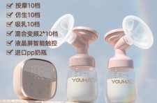 启东奶模(奶模型)