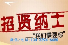 启东酒店雇用伴游(酒店雇用伴游办事员)