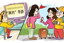 启东伴游是什么