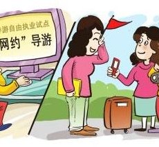 启东伴游是什么