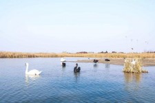 启东南昌附近伴游小妹兼职(1534939978姐的微信德惠市)