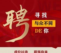 启东商务伴游招聘 重庆星级酒店诚招司机服务员夜场保安