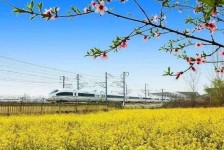 启东高铁游(高铁游戏下载手机版)
