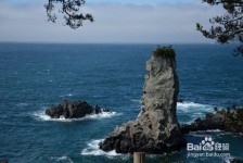 启东旅游全攻略(上海旅游全攻略)