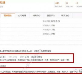 启东游艇伴游雇用(游艇办事员雇用)