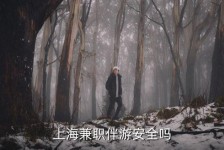启东上海私人伴游 上海伴游，上海兼职伴游安全吗