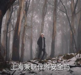 启东上海私人伴游 上海伴游，上海兼职伴游安全吗