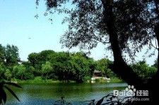 启东西湖旅游攻略(上海到杭州西湖旅游攻略)