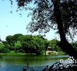启东西湖旅游攻略(上海到杭州西湖旅游攻略)