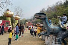 启东中国伴游带你打卡网红南山竹海(南山竹海网上预约)