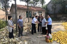 启东关于宋叔带老伴游中国的信息