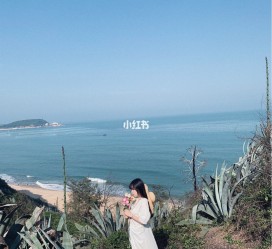 启东厦门周边游(厦门及周边旅游攻略)