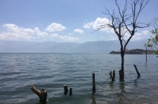 启东洱海旅游攻略(洱海旅游攻略自由行)