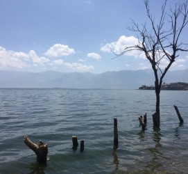 启东洱海旅游攻略(洱海旅游攻略自由行)