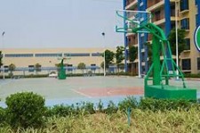 启东上海伴游雇用苗姐(上海哪里有雇用伴游)