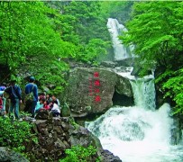 启东安吉旅游攻略(湖州安吉旅游攻略)