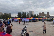 启东通辽伴游雇用(哈尔滨伴游雇用)