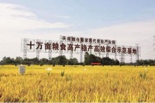 启东关于成都商务伴游外围雇用的信息