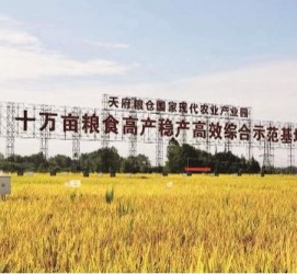 启东关于成都商务伴游外围雇用的信息
