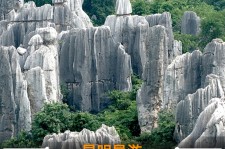 启东贵阳市游览社英语伴游雇用(贵阳市前十名游览社是哪几家)