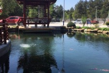启东久久伴游**(久久游代理)