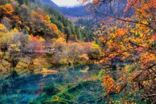 启东四川旅游攻略(四川旅游攻略十五日游)