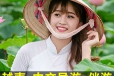 启东日本关东伴游中国(日本关西旅行)