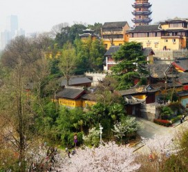 启东南京周边游(南京周边游景点大全 自驾车旅游)