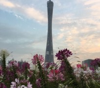启东广州旅游攻略(杭州到广州旅游攻略)
