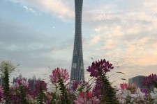 启东广州旅游攻略(杭州到广州旅游攻略)