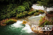 启东去哪里旅游好(七月八月去哪里旅游好)