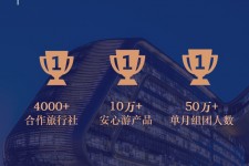 启东上海私人伴游 ​ “小而美”的新时代：2020年国内新跟团消费报告