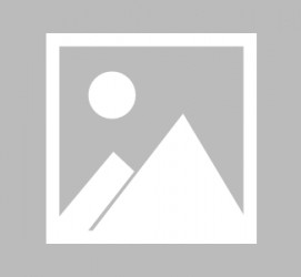 启东最新导游伴游雇用信息(最新导游伴游雇用信息大全)