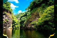 启东旅游报价(旅行团旅游报价)