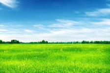 启东上海伴游 上海模特伴游微信号的交友宣言