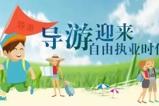 启东私人伴游 “网约导游”到底是正流行 还是不热闹